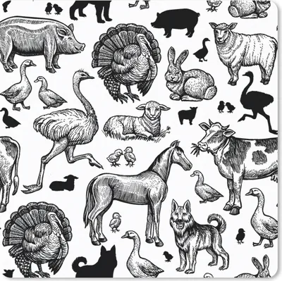 Produktbild von MuchoWow® Mauspad Mousepad Muster - Tiere - Schwarz und weiß 30x30 cm - Mousepads - Maus Mat - Pad - Mausunterlage - Gaming