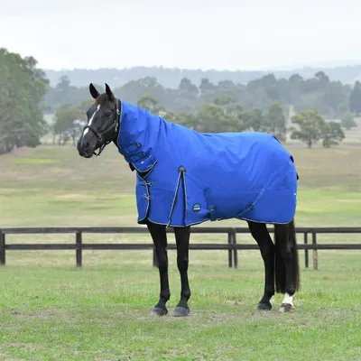 Image de WeatherBeeta Comfitec Essential Turnout Combo 220g - Taille 145 - Bleu