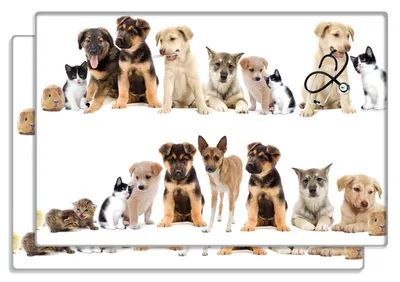 Produktbild von Wallario Frühstücksbrettchen 2er Set aus Glas, je 20 x 30 cm, mit rutschfesten Füßen, Motiv Süße Haustiere - Katzen  Hunde  Hamster  Küken
