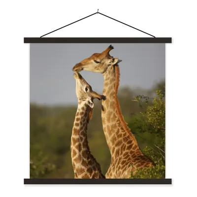 Produktbild von MuchoWow® Textilposter Giraffe - Baum - Kalb - Porträt 90x90 cm mit schwarzem Rahmen - Magnetisches