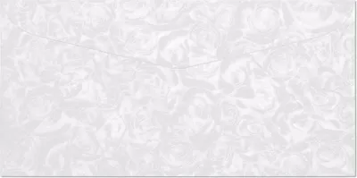 Obrázek produktu pro Galeria Papieru obálky DL Růže bílá 120g, 10ks