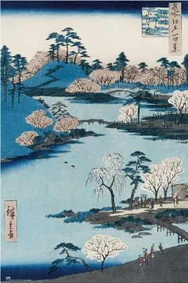 Produktbild von Kunstposter - Poster - Cherry Blossom