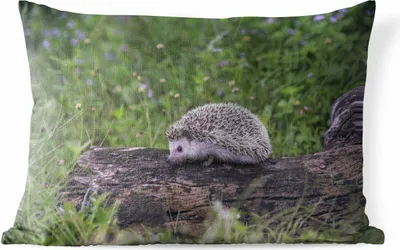 Produktbild von MuchoWow® Outdoor Kissen - Igel auf Baumstumpf - 60x40 cm - Wetterfest - Lounge Kissen - Zierkissen - Kissen für Innenräume