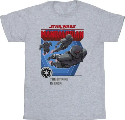 Produktbild von Star Wars - "The Mandalorian Empire Is Back" T-Shirt für Herren BI47281 (L) (Grau)