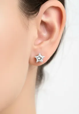 Immagine prodotto di orecchini a stella in acciaio inossidabile da 6 mm con zirconi argento Unisize Maxte