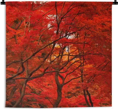 Produktbild von MuchoWow® Wandteppich Wandbehang Herbst - Wald - Rot 60x60 cm Tapisserie Dekoration Wandtuch - Dekorationen - Wand Decke