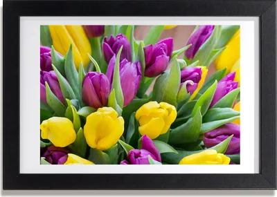 Produktbild von Bild 30x20 MDF-Rahmen, Wandkunst bunte Tulpen