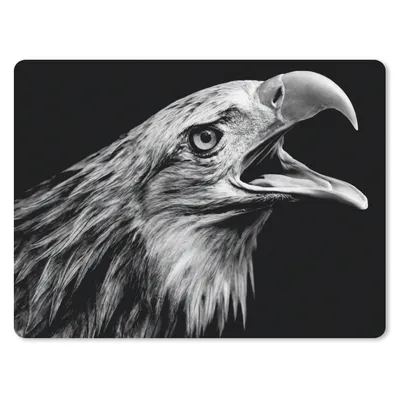 Produktbild von MuchoWow® Mauspad Mousepad Adler - Porträt - Raubvögel - Schwarz - Weiß - Vogel 23x19 cm - Mousepads - Maus Mat - Pad - Mausunterlage - Schreibtischunterlage - Mauspad