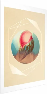 Produktbild von Posterpapier Poster - Shell 60x90 cm Abstrakt n-A-0849-ao-a