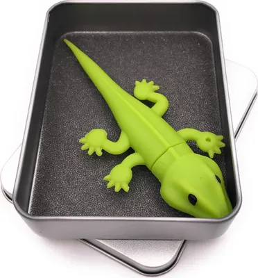 Produktbild von Onwomania Gecko Echse Salamander Reptil USB Stick in Alu Geschenkbox 16 GB USB 2.0