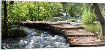 Produktbild von Bilder auf glas - Park natur grün bäume - 100x40cm - Glasbilder - Wandbilder - Kunstdruck - zum Aufhängen bereit - Wanddekoration aus Glas - Glas Bilder - Wandbild auf Glas - GAB100x40-0356