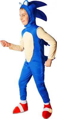 A child wearing a Sonic the Hedgehog costume.