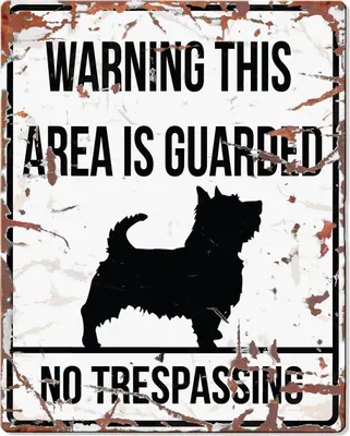 Produktbild von D&D Warnschild Square Terrier Englisch weiß