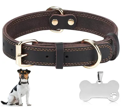 Produktbild von Hundehalsband Leder Verstellbar 38-49cm Braun mit Haustiermarke