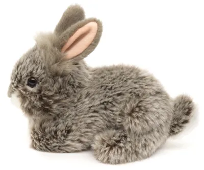 Produktbild von Uni-Toys Angorakaninchen grau liegend 18cm Plüsch Hase Kaninchen Kuscheltier