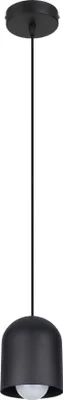 Produktbild von Pendelleuchte Metall Ø 11 cm H: max. 90 cm Schwarz E27 rund