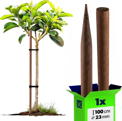 Produktbild von KADAX Holzstäbe 100 cm x 23 mm, 1er Set, Pflanzstäbe aus imprägniertem Holz, Holzpfähle als Rankhilfe für Pflanzen, Bäume, Tomaten & Sträucher, Tomatenstäbe (1 Stück, 100 cm)