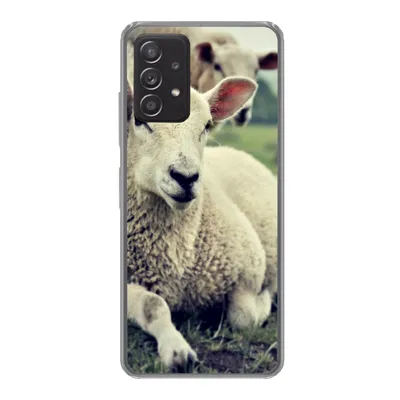 Produktbild von MuchoWow® Handyhülle Schutzhülle Hülle für Samsung galaxy a73 Schaf - Lamm - Gras Silikon Softcase Handy Hülle - Handyhülle