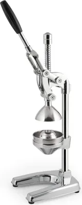 Obrázok produktu pre H&H Lifestyle Natural Juicer PRO, Nerezová oceľ, Čierna, Nerezová oceľ, CE, 1 kusov, 160 mm, 195 mm