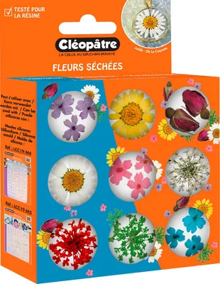 Produktbild von Trockenblumen Sortiment, 9 Tiegel
