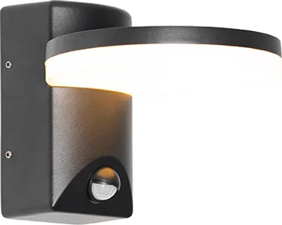 Produktbild von Außenwandleuchte Schwarz inkl LED IP54 Bewegungssensor Esmee