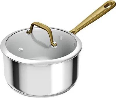 Image de Casserole Inox Paul Bocuse 18cm Inox Durable, Couvercle Verre, Polyvalente - Gpe Seb France Tefal Menage