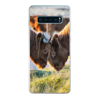 Produktbild von MuchoWow® Handyhülle Schutzhülle Hülle für Samsung Galaxy S10 Plus Schottische Highlander - Tiere - Sonne Silikon Softcase Handy Hülle - Schutzhülle