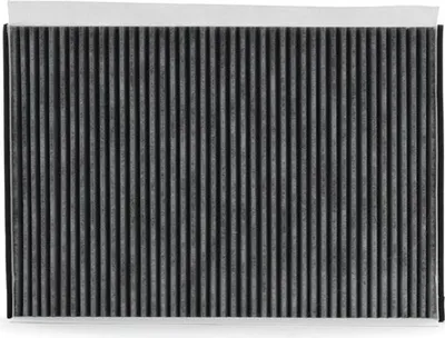 Produktbild von RIDEX 424I0321 Innenraumfilter Pollenfilter passend für MERCEDES-BENZ A-Klasse (W169) Aktivkohle