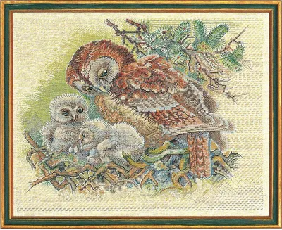 Obrázek produktu pro Eva Rosenstand – sada pro vyšívání křížovým stehem „Sova s chlapcem“, schéma, 40 x 50 cm