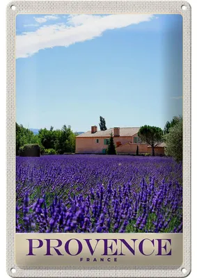 Produktbild von Blechschild Reise 20x30cm Provence Frankreich Natur Haus lila