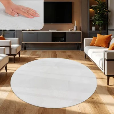 A living room scene with a round white rug in the foreground, a sofa with orange cushions, and a TV stand with a television.