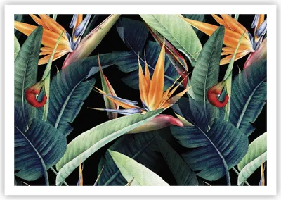 Produktbild von Poster - Poster ohne Rahmen - Pflanze Tropisch Blume - 100x70 cm - Wand Bild - Wanddeko - Wandbilder - Kunstposter - Wandposter - Bilder - Kunstdruck - Wanddekoration - Wandbild - P2XAA100x70-5093