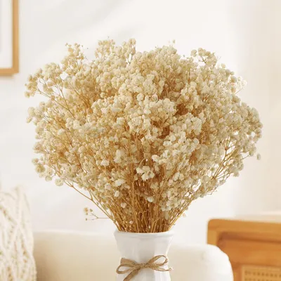 Getrocknete Gipskraut-Blumen, 40-43 cm, über 6.000 Knospen