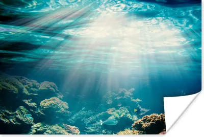 Produktbild von MuchoWow® Poster Meer - Koralle - Sonne 60x40 cm - Schlafzimmerdekoration