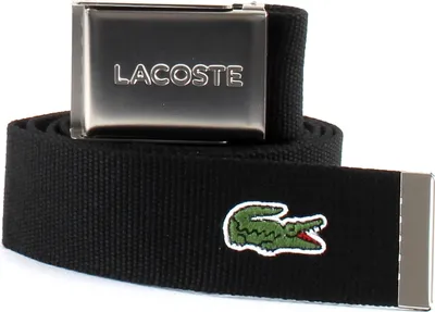 A black Lacoste belt with a silver buckle and a green crocodile logo.