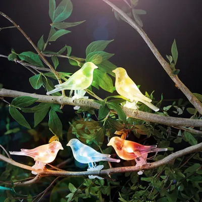 Produktbild von Solar-Lichterkette – Vogel, zum Anklemmen – 80 cm – 5 Farben, RGB-LED
