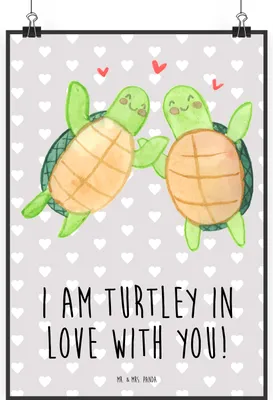 Produktbild von Mr. & Mrs. Panda Bild Schildkröten Paar DIN A0 - Grau Pastell - Geschenk, kunstdruck poster, Valentinstag, Plakat, Wandbild, Freundin, für Frauen, Hochzeitstag, drucke