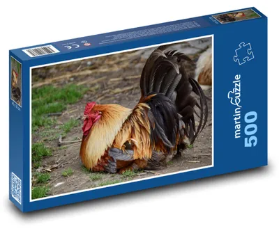 Zdjęcie produktu dla Puzzle 500 Kogut na farmie - martinpuzzle