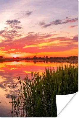 Produktbild von MuchoWow® Poster Wasser - Luft - Natur 80x120 cm - Papierdruck