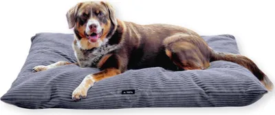 Produktbild von 4L Textil MOLLY Hundekissen Cord Grau waschbares Hundebett XL Cord Hundekissen XXL Hundekissen waschbar mit Bezug (120x100 cm, Graphit (Stripes)