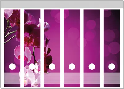 Produktbild von Wallario Ordnerrücken Sticker, selbstklebend für breite Ordner, 6 Stück, Motiv Rosafarbene Orchidee  Blüten in pink