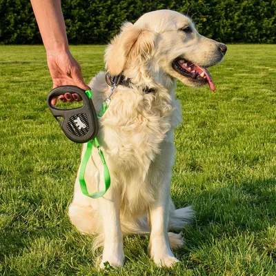 Produktbild von Ausziehbare Reflektierende Hundeleine für Mittelgroße Hunde bis 25 kg - Max. 5 m
