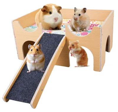 Produktbild von Omgoods – Meerschweinchenhaus aus Holz mit 3 Eingängen und einer Rampe