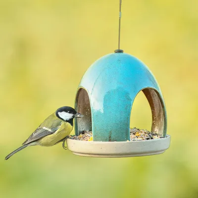 Produktbild von CJ Wildlife Vogelhaus zum Aufhängen - Vierno-Taverne mit Rundbögen - Keramik - Grün - mit Stahldraht-Aufhängeschlinge - nicht frostbeständig