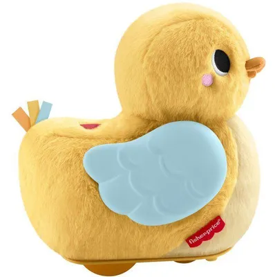 Obrázek produktu pro Interaktivní hračka FISHER PRICE "Kůrátko, pojď se mnou" (JMX99), Pohyb, 4 režimy, Rozvoj motorických dovedností