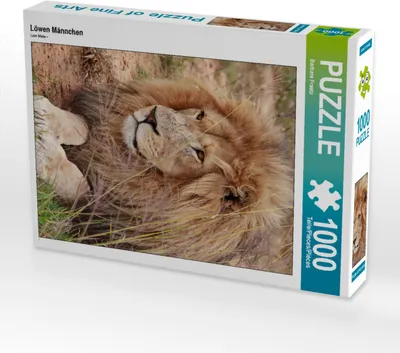 Produktbild von CALVENDO Puzzle Löwen Männchen | 1000 Teile Lege-Größe 64x48cm Foto-Puzzle für glückliche Stunden