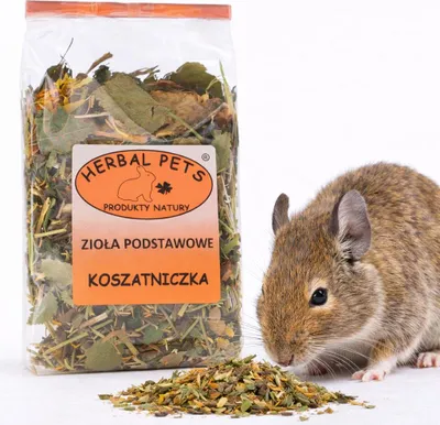 Zdjęcie produktu dla Zioła podstawowe dla koszatniczki - zdrowie i smak w jednym 100g