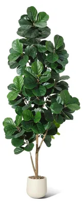 Produktbild von Geigenfeige Ficus lyrata - Kunstbaum - 210 cm - Mit Topf - Für Außenbereich - Bodenstehend - PE-Kunststoff - Bonsai-Stil - Grün