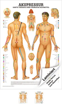Produktbild von Akupressur Mini-Poster Anatomie 34x24 cm medizinische Lehrmittel