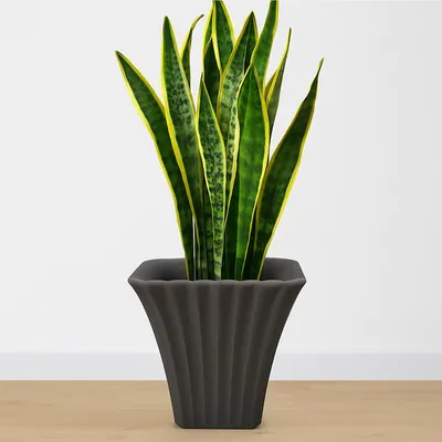 Produktbild von Quadratischer Blumentopf 40 x 40 x 45 cm für Terrasse, Balkon oder Gartenweg